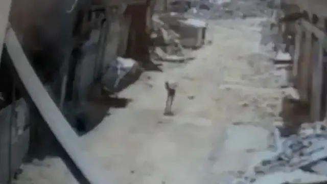 'Video thumbnail for Israeli drone kills Palestinian carrying sack of flour'