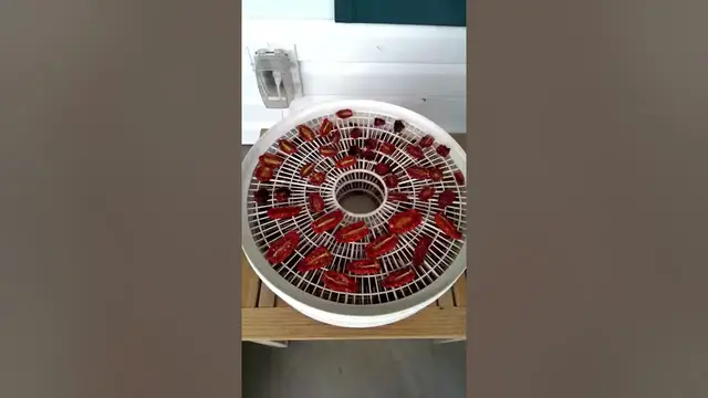 'Video thumbnail for Tomato drying'