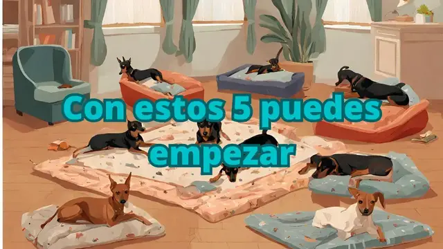 'Video thumbnail for 🐕Camas para mascotas como negocio ❤️ 5 tips para iniciar'
