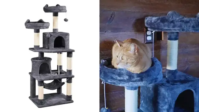 'Video thumbnail for Everything To Know About This Yaheetech Cat Tree'