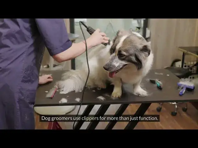'Video thumbnail for Dog Grooming Clippers | Symphony of Snips: The Artful Dance of Dog Grooming Clippers'