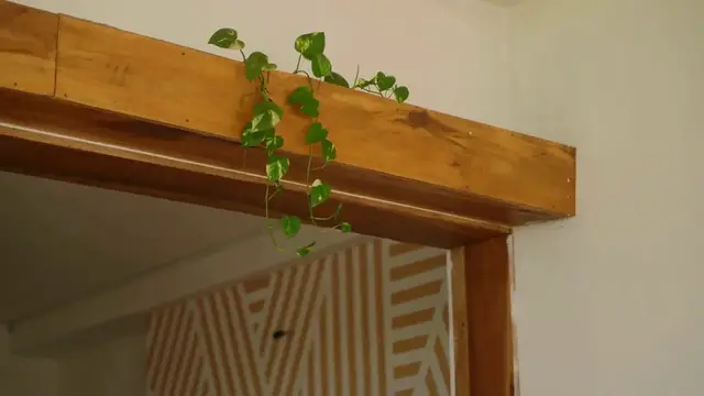 'Video thumbnail for Best Plants for Bedroom Air Purification'