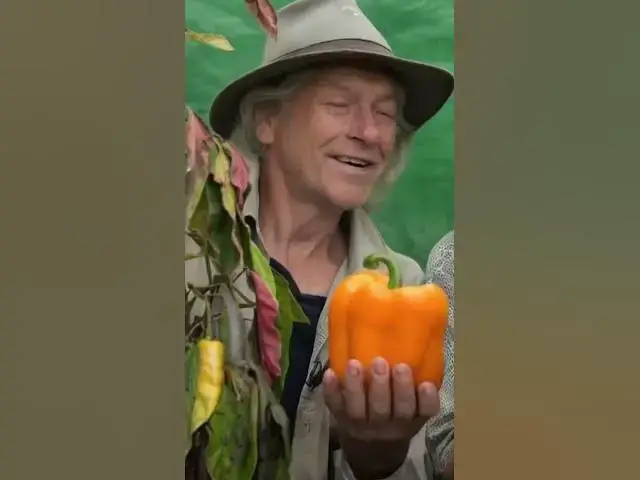 'Video thumbnail for Pour THIS on Your Peppers & Watch Them EXPLODE with Growth!'