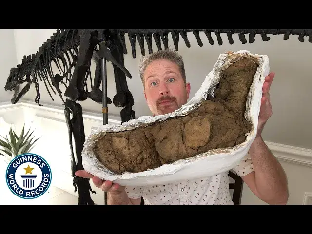 'Video thumbnail for Largest Dinosaur Poop'