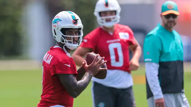 'Video thumbnail for Could the Dolphins Be the Surprise of the NFL Season?'
