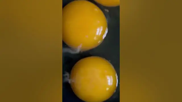'Video thumbnail for Chicken fertility | How to tell if your eggs are fertile#backyardchickens #chickencare #chickens'