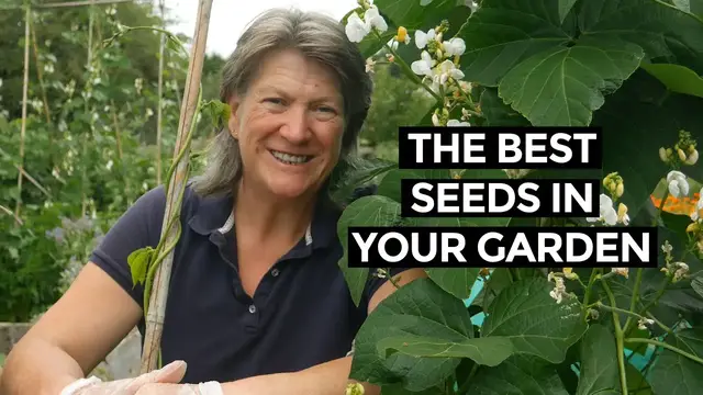 'Video thumbnail for Saving seeds | Seed Saving All Year Round | Seeds to Save in July'