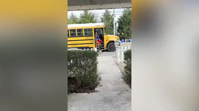 'Video thumbnail for Mom Shares Wholesome End-Of-School Compilation Of Dog Greeting Kids Off Bus Every Day'