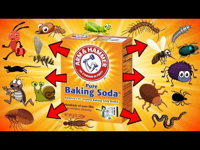 'Video thumbnail for 20 Surprising Pests Baking Soda Can Repel or Kill Naturally'
