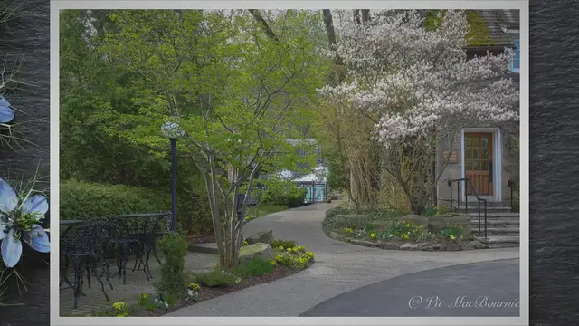 'Video thumbnail for Lumix LX7: Perfection in a tiny, full-featured package'