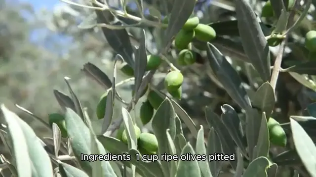 'Video thumbnail for Appetizer recipe'