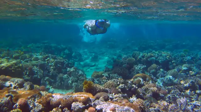 'Video thumbnail for Go Snorkeling in the Middle East'