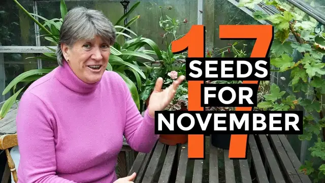 'Video thumbnail for What to Sow in November | Seeds and Plants for November | Self-sufficient vegetable garden (2020)'