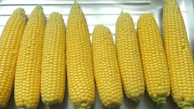 'Video thumbnail for Huge Mistakes Everyone Makes With Corn On The Cob'