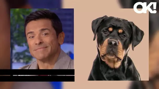 'Video thumbnail for Kelly Ripa Thinks Husband Mark Consuelos 'Looks Like a Rottweiler': Watch'