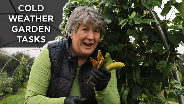 'Video thumbnail for Before cold nights arrive in the garden, practical ideas for how to prepare'