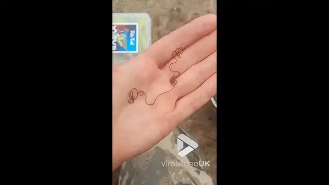 'Video thumbnail for VV4942 Horsehair worms look freaky'