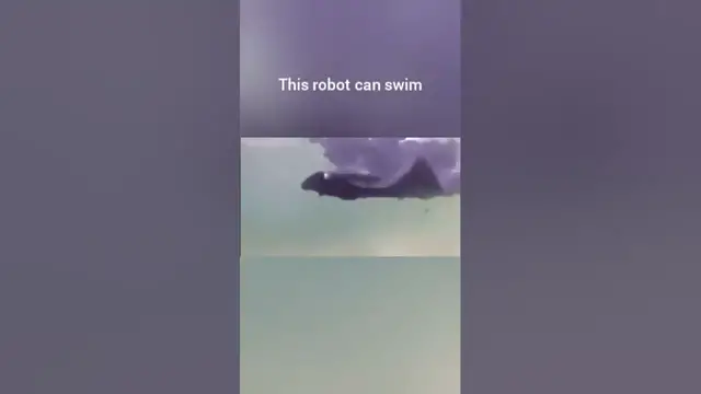 'Video thumbnail for This robot is swimming faster than any human could ever dream of! #robot #swimming #electrical'