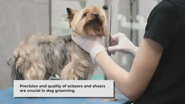 'Video thumbnail for Cut Above the Rest: Dog Grooming Scissors and Shears'