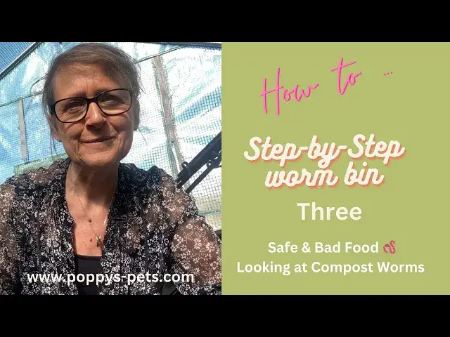 'Video thumbnail for Video Three: Step 3 -  Where To Get Worms & Feeding Your Compost Worms - CHALLENGE'