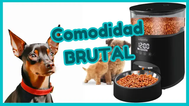 'Video thumbnail for 🐕Comedero AUTOMÁTICO para PINSCHER MINIATURA   ❤️'