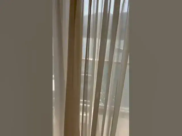 'Video thumbnail for Majestic Princess Mini-Suite B519 Tour / Review #shorts'