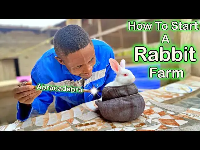 'Video thumbnail for Rabbit Farming? What You Need to Know. 馃惏馃尡'
