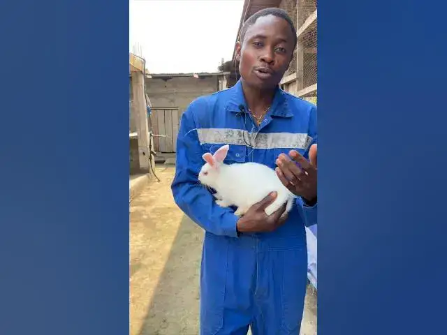 'Video thumbnail for Otto's Farms Presents a Year of Farming Diversity! 🐇🐟🐓🐖'
