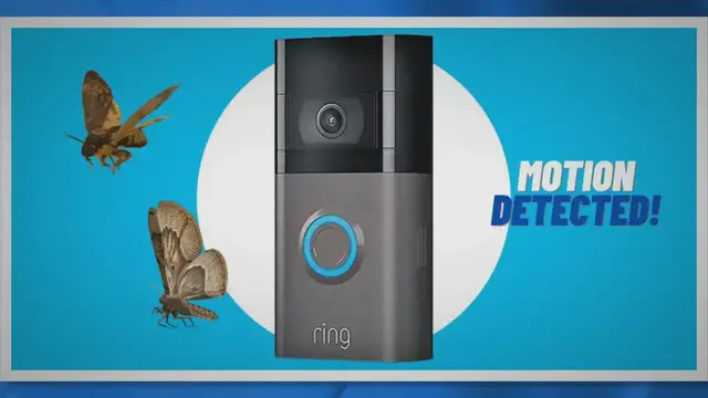 'Video thumbnail for 6 Tips to Prevent Bugs from Setting Off Ring Doorbell Motion'
