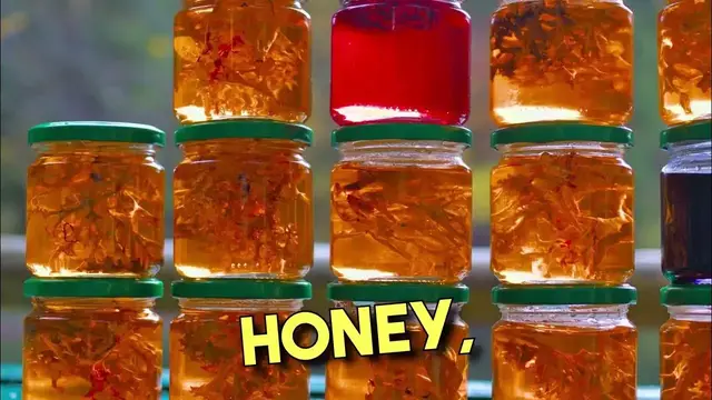 'Video thumbnail for Exploring Honey Varieties & The Antibacterial Power of Propolis'