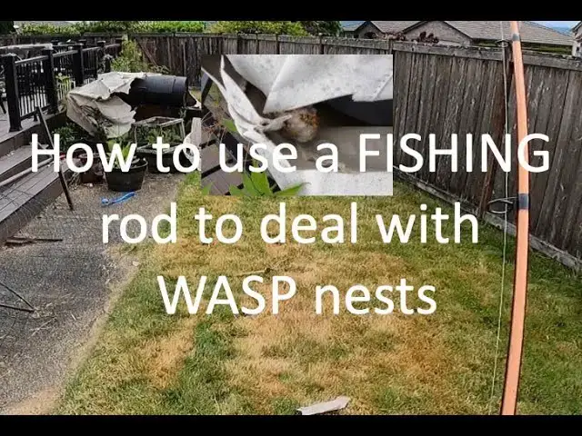 'Video thumbnail for How to use a FISHING rod to deal with a WASP invasion! NOT FOR THE FEINT OF HEART!'