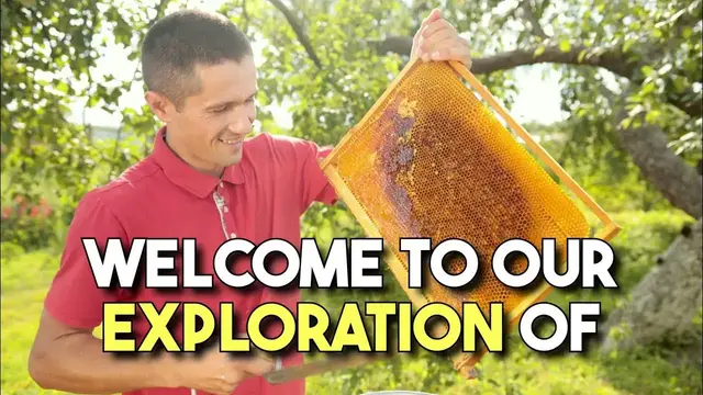 'Video thumbnail for Exploring Honey Beeswax: The Natural Health Elixir | Benefits & Uses'