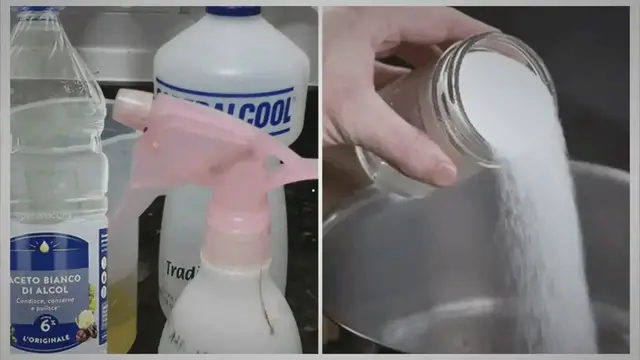 'Video thumbnail for Top 7 Natural Pest Control Methods'