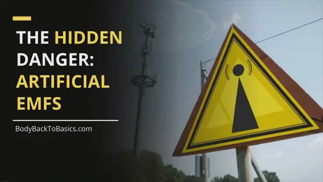 'Video thumbnail for The Hidden Danger: Artificial EMFs and Cancer Risk'