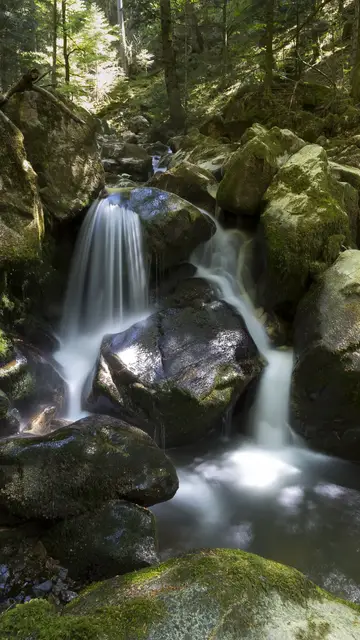 'Video thumbnail for Teichschlucht im ZweiTälerLand'