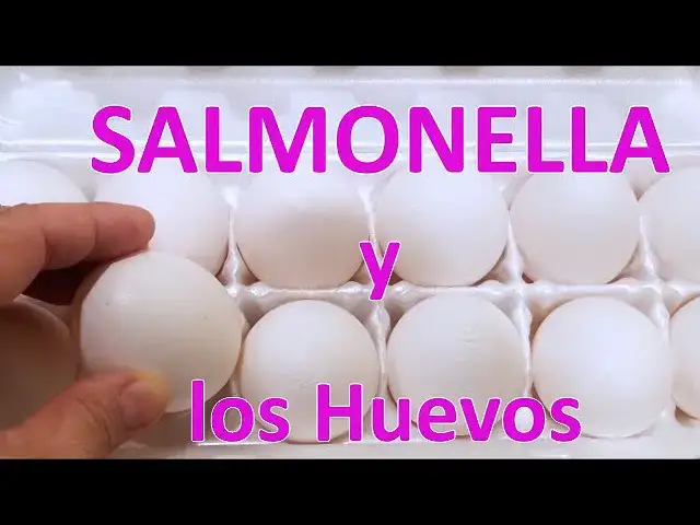 'Video thumbnail for Salmonella y los Huevos - Por Qué se relacionan? │Club de Reposteria'