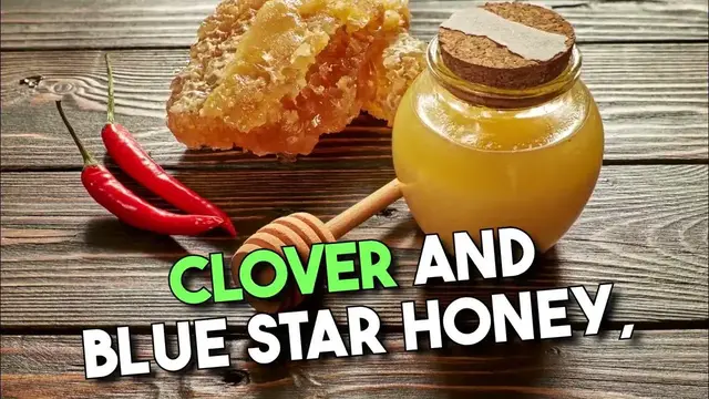 'Video thumbnail for Honey: The Sweet Science Behind Why Bees Create This Golden Elixir'