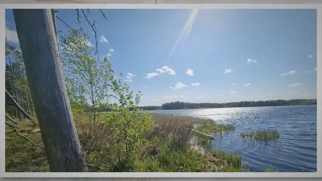'Video thumbnail for Digital Detox Method: Walking in the forest at Grössjöns Naturreservat, Sweden'
