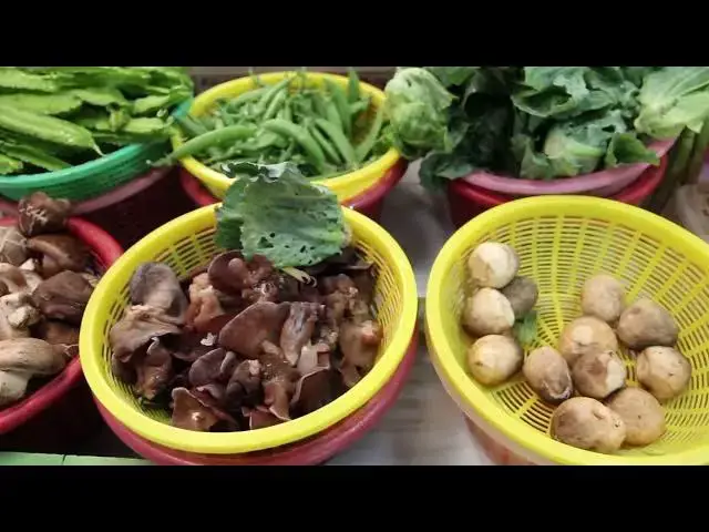 'Video thumbnail for Why need to eat more Mushrooms'