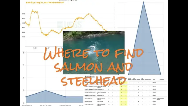 'Video thumbnail for Where to find salmon and steelhead'