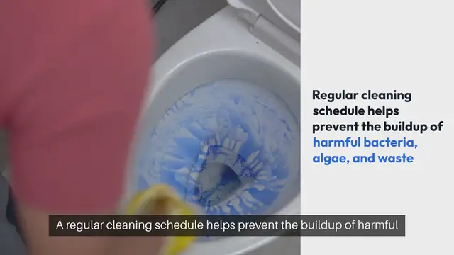 'Video thumbnail for Turtle Tank Cleaning Schedule'