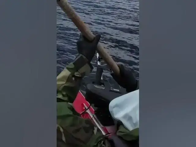 'Video thumbnail for What’s the smallest halibut you’ve ever caught? This one from MA5 was pretty small!'