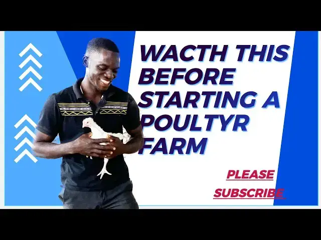 'Video thumbnail for What you want to consider before starting a Poultry Farm'