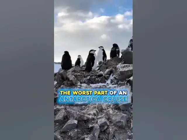 'Video thumbnail for The Unpredictable Reality About Antarctic Cruises ! #shorts'