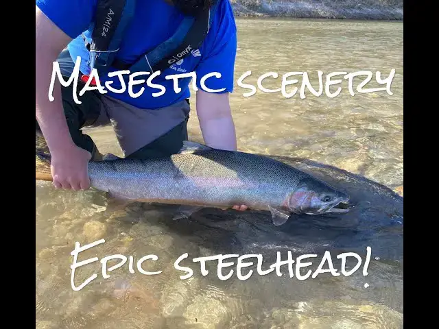 'Video thumbnail for Incredible STEELHEAD Adventure - MAJESTIC Scenery of the Sauk River!'