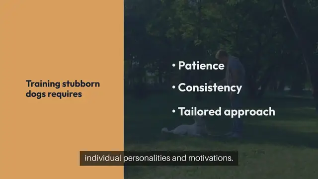 'Video thumbnail for Training Stubborn Dogs'