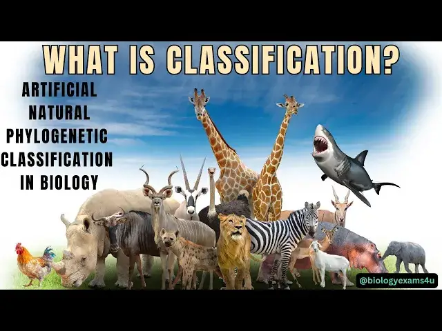 'Video thumbnail for What is Classification? Artificial, Natural and Phylogenetic Classification in Biology with examples'