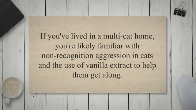 'Video thumbnail for End Non Recognition Aggression In Cats Putting Vanilla Extracts On Cats'