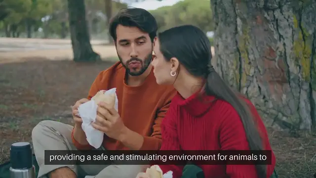 'Video thumbnail for Building a Pet Play Area'