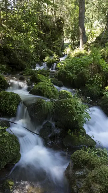 'Video thumbnail for Buselbach-Wasserfälle im Hochschwarzwald'